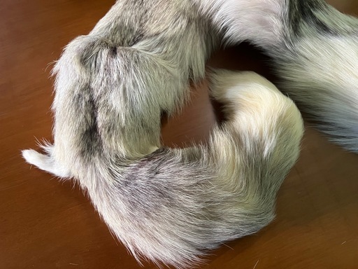 GO-597】 フォックス ショール ファー マフラー 顔 手足