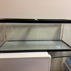 90センチ スリム水槽
