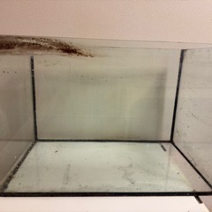 ガラス水槽　60センチ