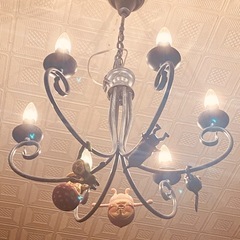 今日取りに来ていただけるかた無料です。の画像