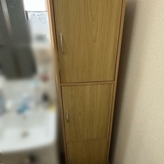 扉付きカラーボックスの画像