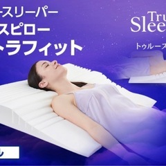 トゥルースリーパーウルトラフィット枕（ダブル）