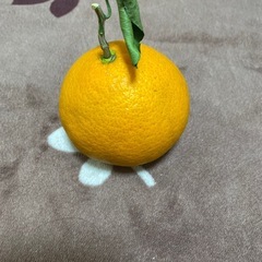 きよみスーパーに売り出してないレア物です