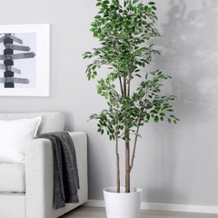 美品！IKEA フェイク　観葉植物