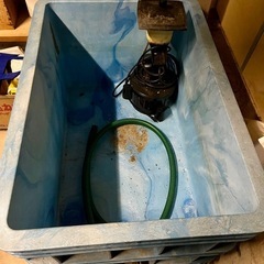 【まとめ売り！】　大型水槽と濾過器
 