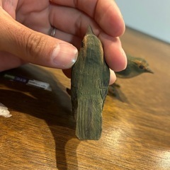 上野玉水作　鶯　雌雄一対　の画像