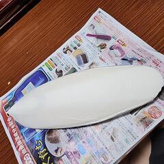 コウイカの骨の画像