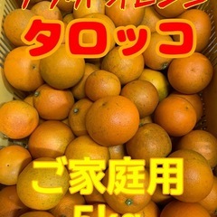 【受付終了】☆ブラッドオレンジ☆小玉・訳あり5kg☆
