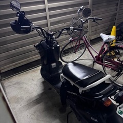 HONDA ズーマー
の画像