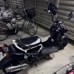 HONDA ズーマー
の画像