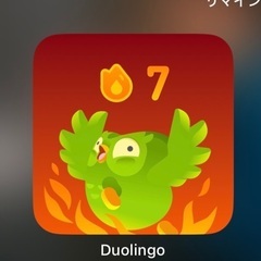 Duolingo ファミリープラン　メンバー募集の画像