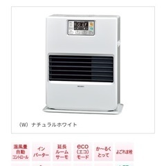 決まりました。寒冷地向き！FF式ストーブの画像