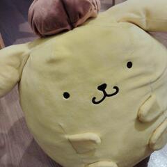 ポムポムプリン☺️❤️の画像