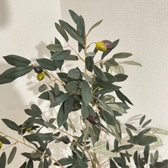 オリーブの木　造花の画像