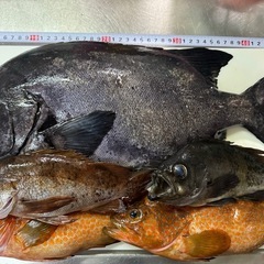 春から冬まで魚突き(ルール厳守)