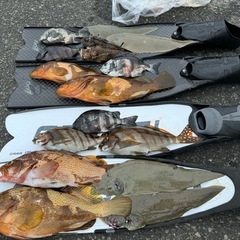 春から冬まで魚突き(ルール厳守) − 京都府