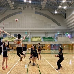 社会人バレーボール − 千葉県