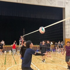 社会人バレーボール - スポーツ