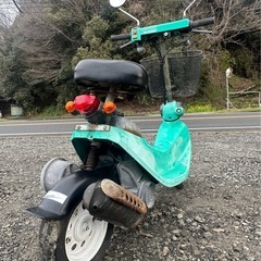 HONDA ZOOK 50cc 中古不動車の画像