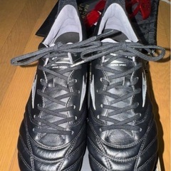 モレリアネオ4限定色　ギャラクシー の画像