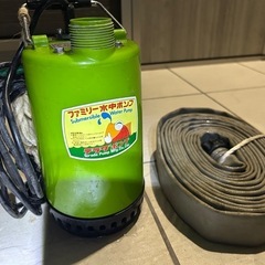 値下げ‼️寺田　ファミリー水中ポンプ　SP-150B 