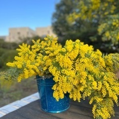 ミモザのリース作り春のリトリート