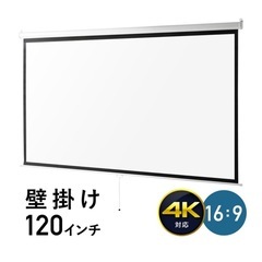 120インチスクリーン