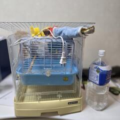 インコ 飼育 一式 おもちゃヒーターお出かけケージ紫外線ライト等多数の画像