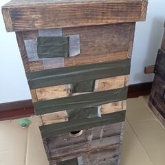 日本ミツバチ巣箱