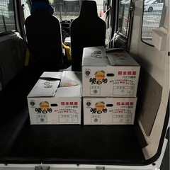 軽バンレンタル始めました　1時間2,000円〜　引越し、家具移動、家具家電の買取も行ってますので　お気軽に連絡ください - 運搬代行