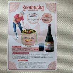 デトック・コンブチャ発酵ドリンク | トロピカルマリア ベジーマリア