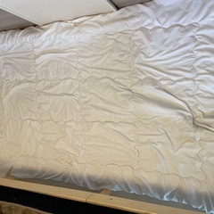 【受け渡し予定者決まりました】トゥルースリーパー　シングル掛け布...