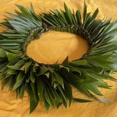 古典フラを学ぼう！Hula Lino Mauloaの画像
