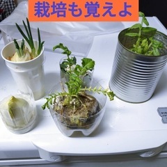 😍😃一味違ったフリースクール😃まずは心を偉大にしよう❤️の画像