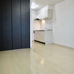 CanNon1　☆入居月フリーレント☆高級感のある綺麗な室内☆独立洗面台☆オール電化☆オートロック完備 − 秋田県