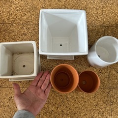 鉢◎5点セット◎限定出品！最終価格
の画像