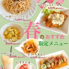 🌸期間限定🌸