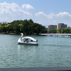 毎週木曜日　朝7時　大濠公園ウォーキング