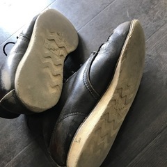 レッドウイングアイリッシュセッター茶シン出てますの画像
