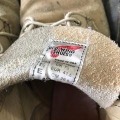 レッドウイングアイリッシュセッターの画像