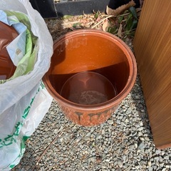 漬物壺の画像