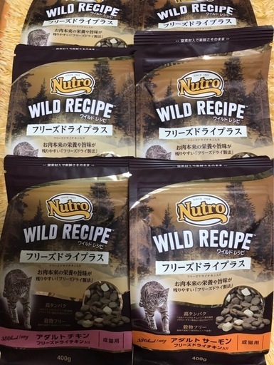 ニュートロ　ワイルドレシピ　ご飯　猫