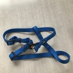 小型犬　散歩　胴輪