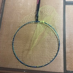 たも網　　6m 新品同様の画像