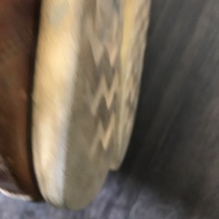 レッドウイングアイリッシュセッターの画像