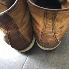 レッドウイングアイリッシュセッターの画像