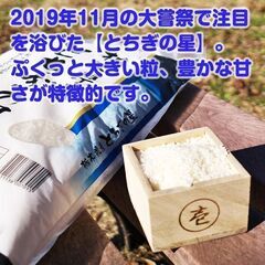 令和6年のお米　栃木県産とちぎの星　5kg　10kg