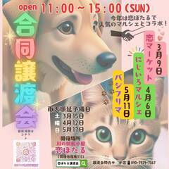 犬・猫・うさぎさんの譲渡会＆チャリティーマルシェを開催します！