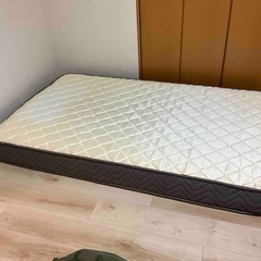 ニトリ　マットSDの画像