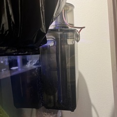 海水水槽の画像